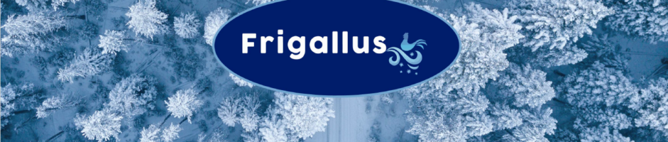 Frigallus: nuestra gama de productos congelados